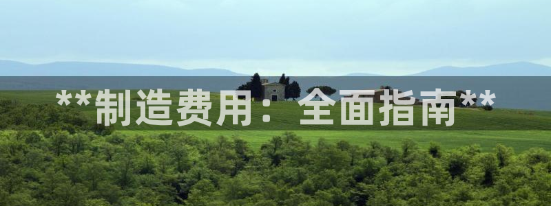 彩神v网赌软件下载：**制造费用：全面指南**