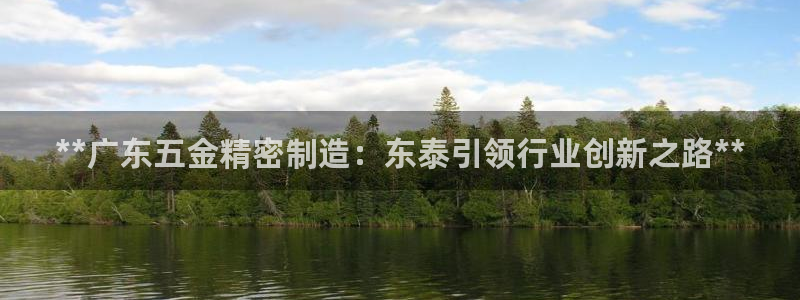 彩神是怎样一个平台赚钱的：**广东五金精密制造：东泰引领行业