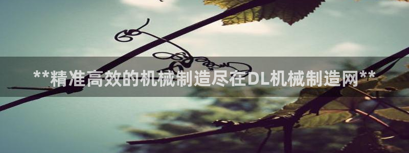v彩神88iii：**精准高效的机械制造尽在DL机械制造网**