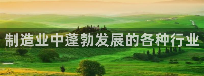 新版彩神v8登录：制造业中蓬勃发展的各种行业