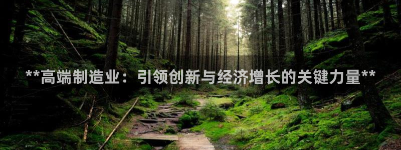 彩神v8客户端：**高端制造业：引领创新与经济增长的关键力量**