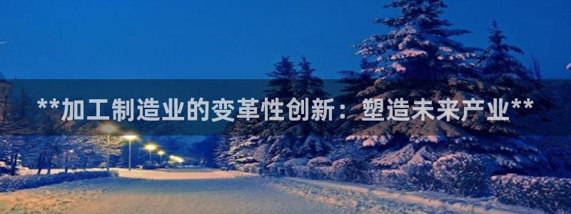 彩神vllⅰ购彩大厅：**加工制造业的变革性创新：塑造未来产业**