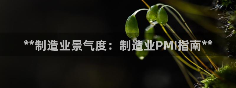 彩神网可以赚钱是真的吗：**制造业景气度：制造业PMI指南*