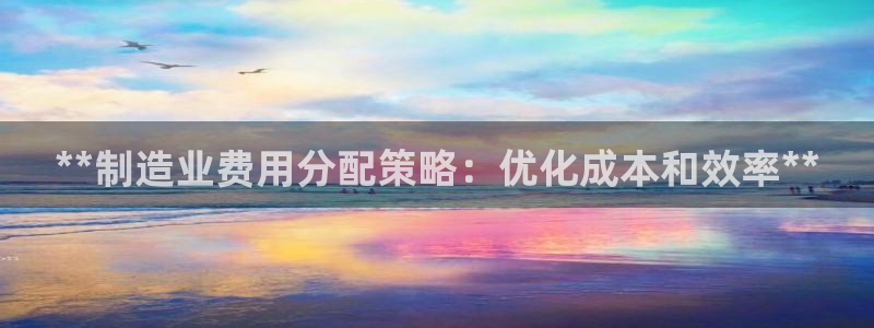 彩神8购彩-购彩大厅：**制造业费用分配策略：优化成本和效率**