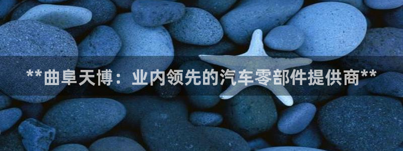 彩神网能赚钱是怎么回事：**曲阜天博：业内领先的汽车零部件提供商**
