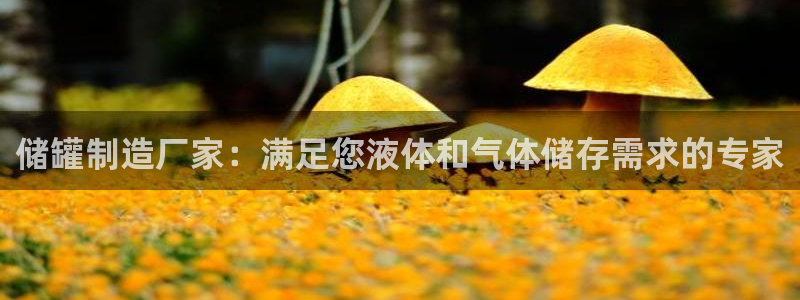 彩神购彩购彩大厅入口v：储罐制造厂家：满足您液体和气体储存需求的专家