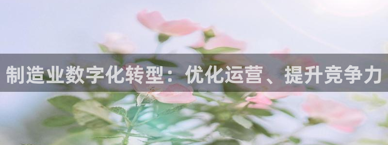 彩神vip购彩大厅在哪：制造业数字化转型：优化运营、提升竞争力