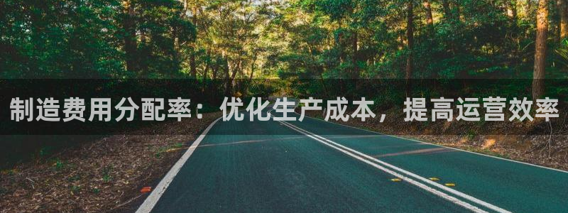 天天彩神welcome：制造费用分配率：优化生产成本，提高运营效率