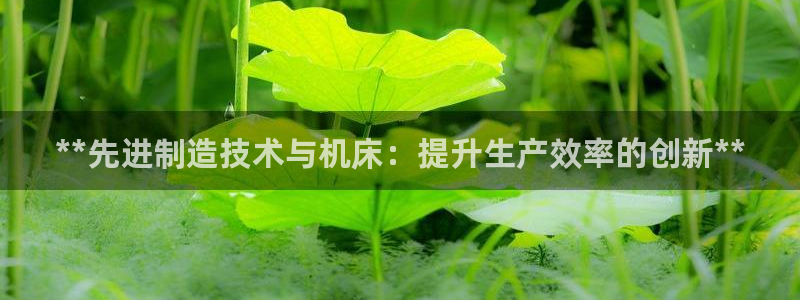 彩神ii官方网：**先进制造技术与机床：提升生产效率的创新**