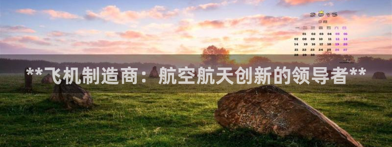 彩神ix是真的吗：**飞机制造商：航空航天创新的领导者**