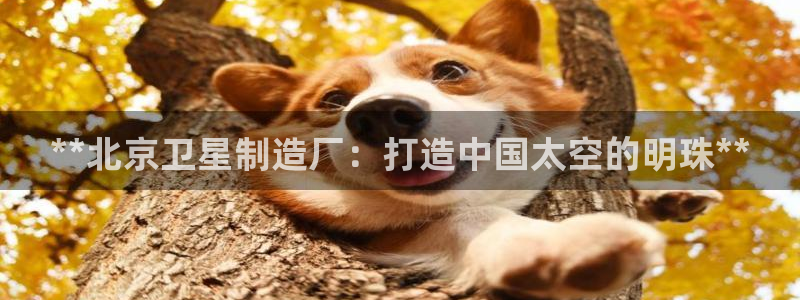 彩神vip官方网站：**北京卫星制造厂：打造中国太空的明珠**