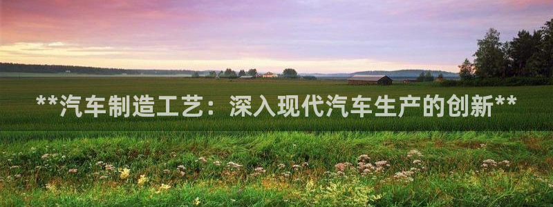 彩神vl购彩大厅：**汽车制造工艺：深入现代汽车生产的创新*
