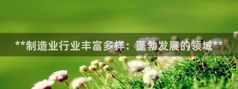 彩神8彩平台客服：**制造业行业丰富多样：蓬勃发展的领域**