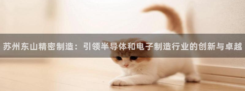 彩神ios下载：苏州东山精密制造：引领半导体和电子制造行业的创新与卓越