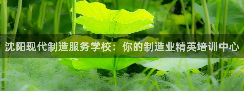 彩神新微聊：沈阳现代制造服务学校：你的制造业精英培训中心