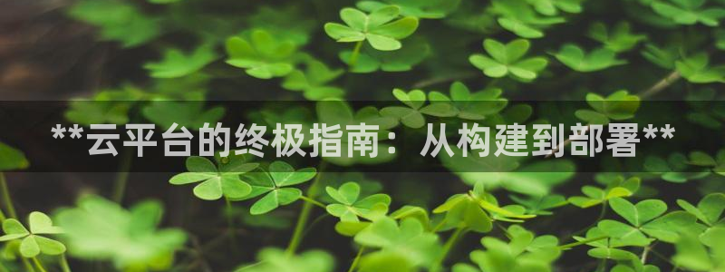 彩神大发黑平台：**云平台的终极指南：从构建到部署**