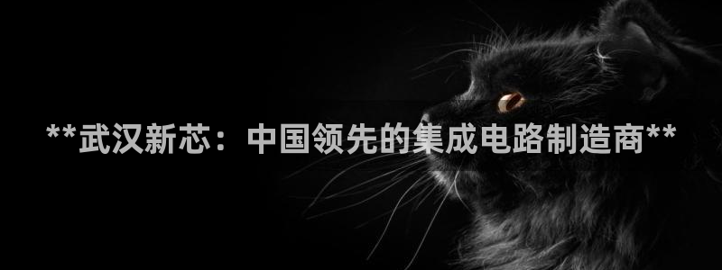 彩神可以提现吗：**武汉新芯：中国领先的集成电路制造商**