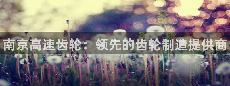 彩神v彩搜狗：南京高速齿轮：领先的齿轮制造提供商