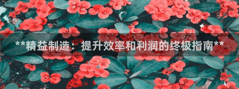 彩神v违法么：**精益制造：提升效率和利润的终极指南**