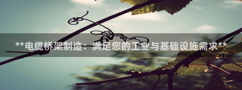 v大发彩神8iii：**电缆桥架制造：满足您的工业与基础设施需求**