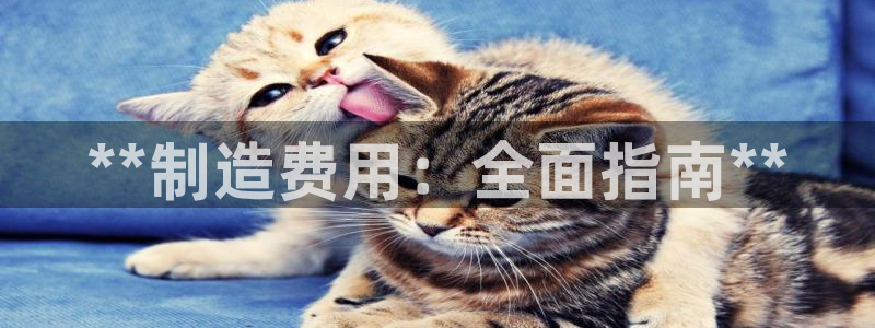 彩神ii官方网