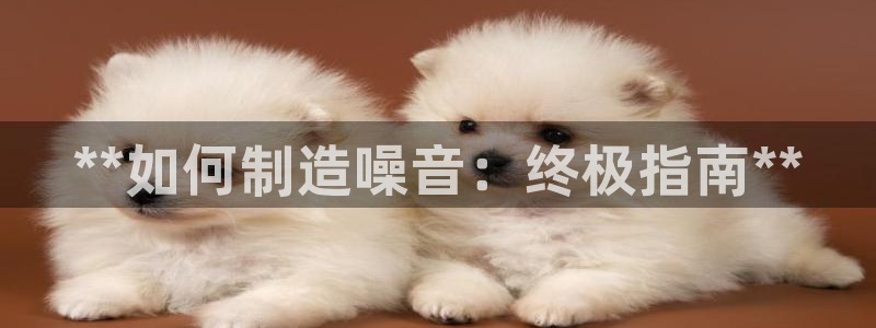 彩神到底能不能赚钱：**如何制造噪音：终极指南**