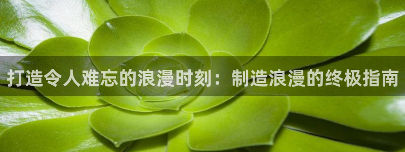 彩神v争霸有限公司：打造令人难忘的浪漫时刻：制造浪漫的终极指南