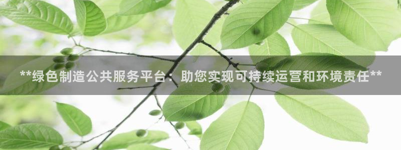 彩神用户登录：**绿色制造公共服务平台：助您实现可持续运营和环境责任**