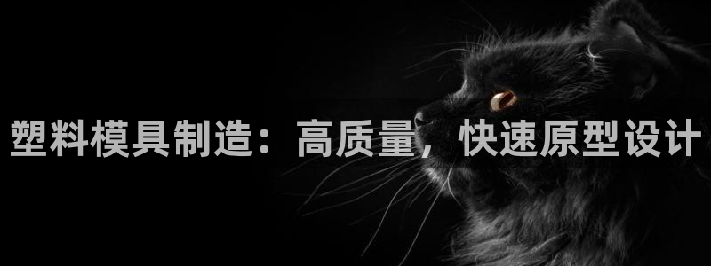 彩神8最新版下载：塑料模具制造：高质量，快速原型设计