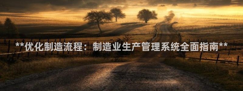 彩神是什么平台的游戏：**优化制造流程：制造业生产管理系统全