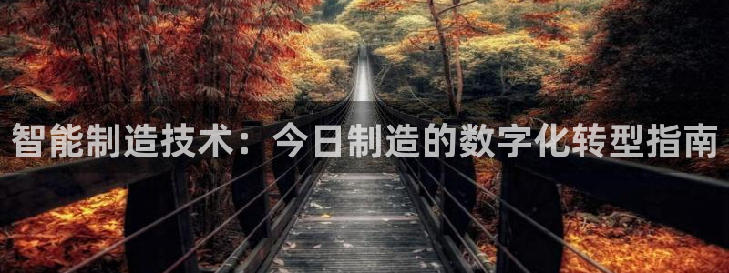 彩神8彩平台：智能制造技术：今日制造的数字化转型指南