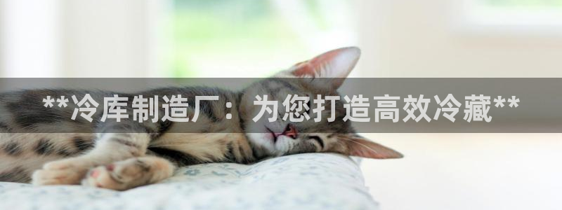 彩神ⅴll用户登录：**冷库制造厂：为您打造高效冷藏**