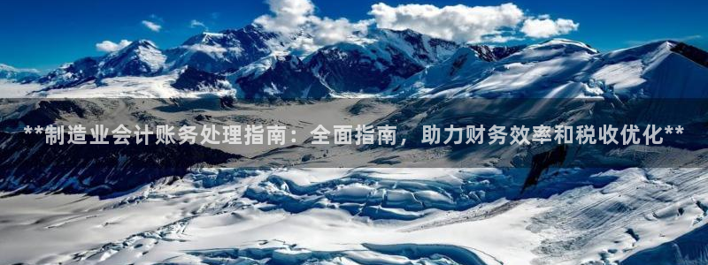 彩神8彩平台：**制造业会计账务处理指南：全面指南，助力财务效率和税收优化**
