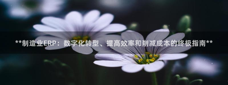 彩神iv是正规平台吗?：**制造业ERP：数字化转型、提高效