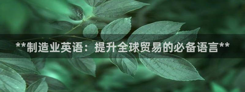 彩神旗下有哪些平台：**制造业英语：提升全球贸易的必备语言**