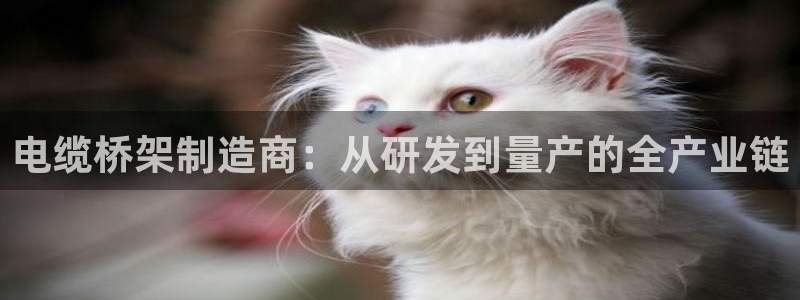 彩神velcome购彩大厅：电缆桥架制造商：从研发到量产的全产业链