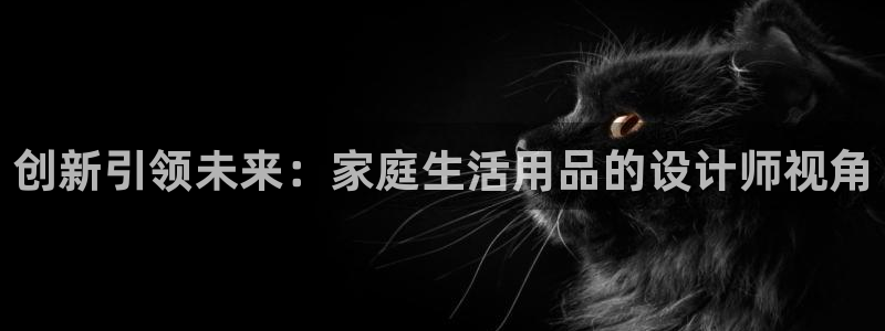 新版彩神v8登录不了：创新引领未来：家庭生活用品的设计师视角