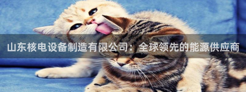 彩神vⅲ下载安装：山东核电设备制造有限公司：全球领先的能源供