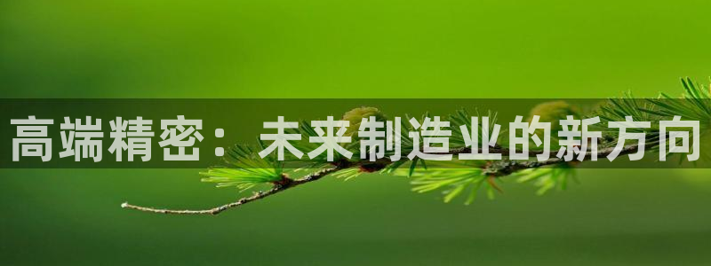 在彩神网输了六万多怎么拿回来：高端精密：未来制造业的新方向