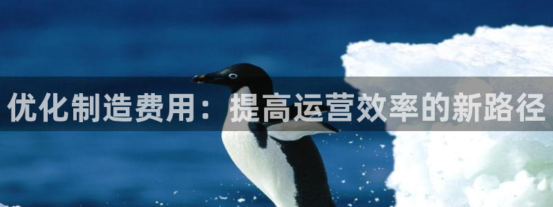 下载彩神乐发V1：优化制造费用：提高运营效率的新路径