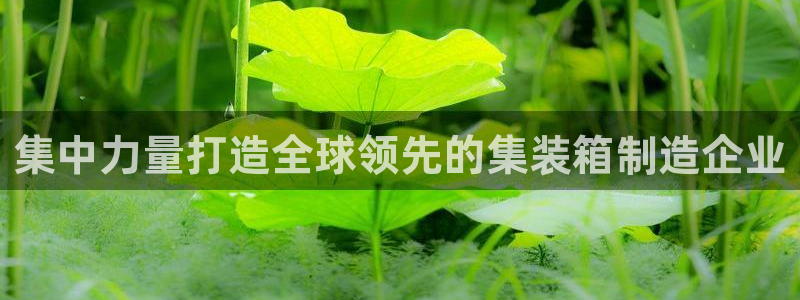 彩神8官网下：集中力量打造全球领先的集装箱制造企业