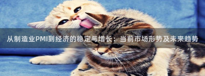 在彩神网输了六万多怎么拿回来：从制造业PMI到经济的稳定与增长：当前市场形势及未来趋势