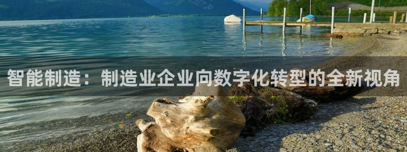 大发彩神官网下载：智能制造：制造业企业向数字化转型的全新视角