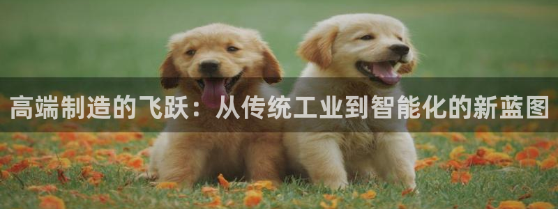 新版彩神v8登录教程：高端制造的飞跃：从传统工业到智能化的新蓝图