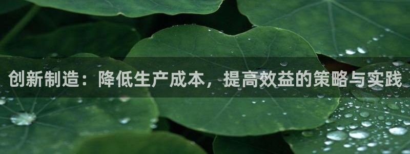 彩神8是正规平台吗安全吗：创新制造：降低生产成本，提高效益的策略与实践