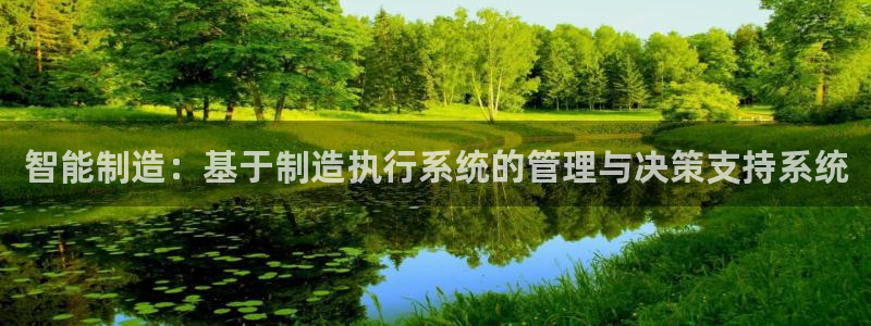 大发彩神最高邀请码：智能制造：基于制造执行系统的管理与决策支持系统