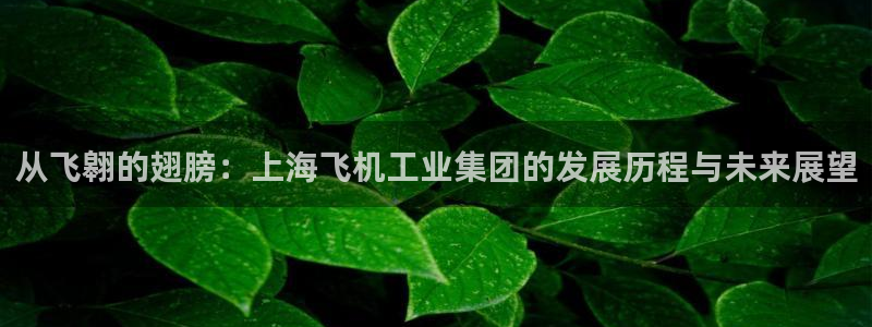 v大发彩神8iii：从飞翱的翅膀：上海飞机工业集团的发展历程与未来展望