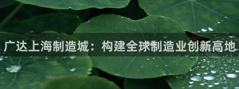 彩神vl官网：广达上海制造城：构建全球制造业创新高地