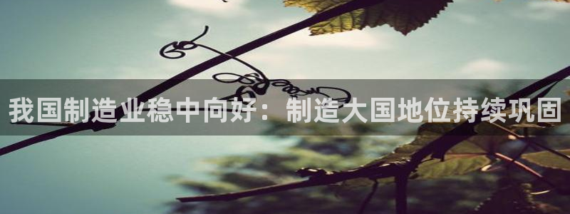 彩神8最新版下载：我国制造业稳中向好：制造大国地位持续巩固