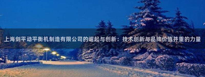 彩神赢钱了吗是真的吗：上海剑平动平衡机制造有限公司的崛起与创新：技术创新与品牌价值并重的力量